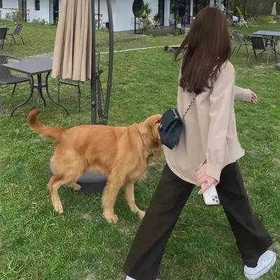牧鹅少年马季